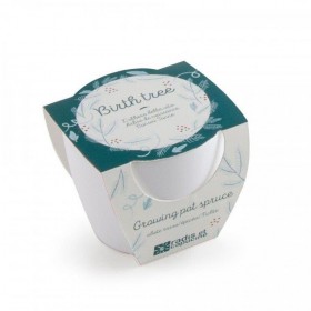 Radis et Capucine kit de naissance l'épicéa - Radis et Capucine