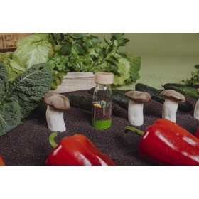 Petit boum bouteille sensorielle les légumes - petit boum
