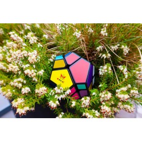 Casse Tête Skewb cube - Recenttoys