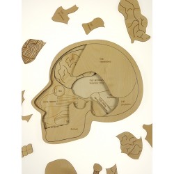 Stuka Puka Puzzle L'Anatomie du cerveau - Stuka Puka