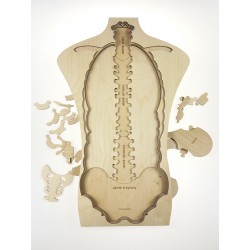 puzzle en bois Anatomie