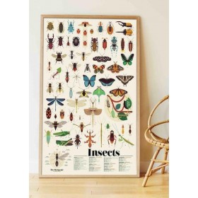 Poppik Stickers 44 gommettes  Poster Géant les Insectes - Poppik