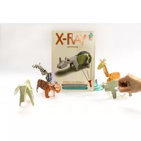 Koa koa Les animaux aux rayons X - KOA KOA