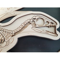 Stuka Puka Puzzle en Bois Anatomie du Dinosaure - Stuka Puka