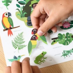 Poster Poppik mini pour découvrir la couleur Verte en 24 stickers - Poppik