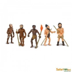 5 Figurines représentant l'Evolution de l'Homme - Safari Ltd