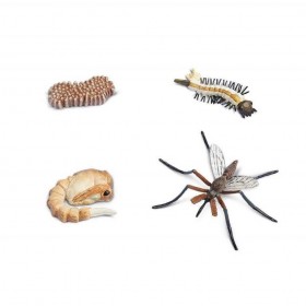 Le cycle de Vie d'une Moustique - Safari Ltd