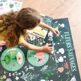 Poppik Poster éducatif sur la Botanique - Poppik