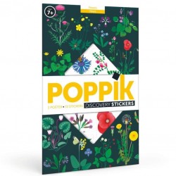 Poppik Poster éducatif sur la Botanique - Poppik