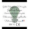 Galets Pédagogiques les continents - Les Petites Graines de Génies