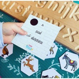 Set de 40 cartes d'apprentissage Les Groupes d'animaux en Anglais - Teddo Play