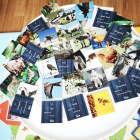 Set de 40 cartes d'apprentissages en Anglais Le nom et l'orthographe des animaux - Teddo Play