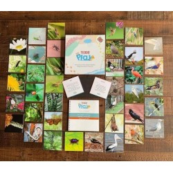 Set de 40 cartes d'apprentissages sur les Insectes et animaux en Anglais - Teddo Play