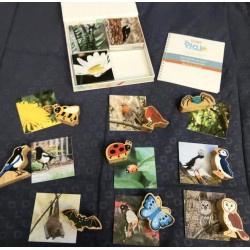 Set de 40 cartes d'apprentissages sur les Insectes et animaux en Anglais - Teddo Play