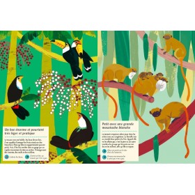 Cahier d'activités Nature Dans la forêt tropicale - Editions Amaterra