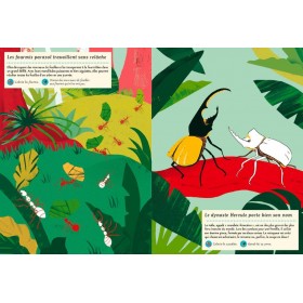Cahier d'activités Nature Dans la forêt tropicale - Editions Amaterra