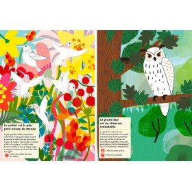 Cahier d'activités Nature les oiseaux du monde - Editions Amaterra