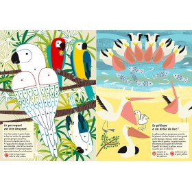 Cahier d'activités Nature les oiseaux du monde - Editions Amaterra