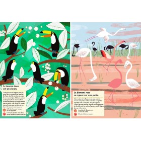 Cahier d'activités Nature les oiseaux du monde - Editions Amaterra