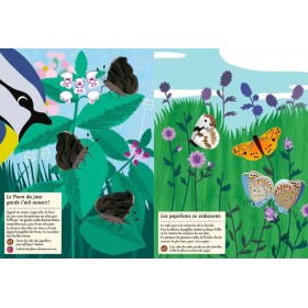 Cahier d'activités Nature les papillons du monde - Editions Amaterra