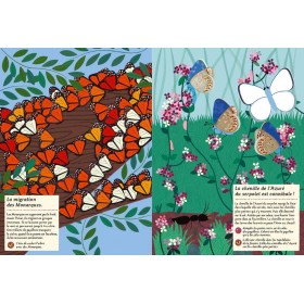 Cahier d'activités Nature les papillons du monde - Editions Amaterra