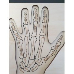 Stuka Puka Puzzle en Bois Anatomie de la main - Stuka Puka