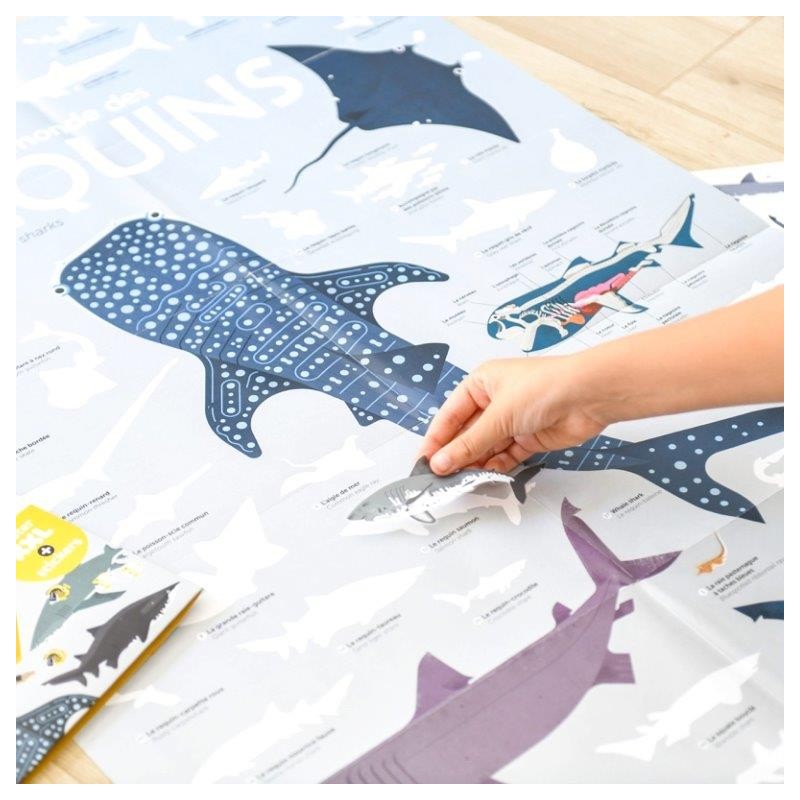 Poppik Poster Les Requins - Poppik